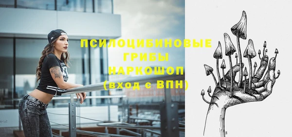 молекула духа Покачи