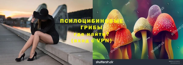 мескалин Приозерск