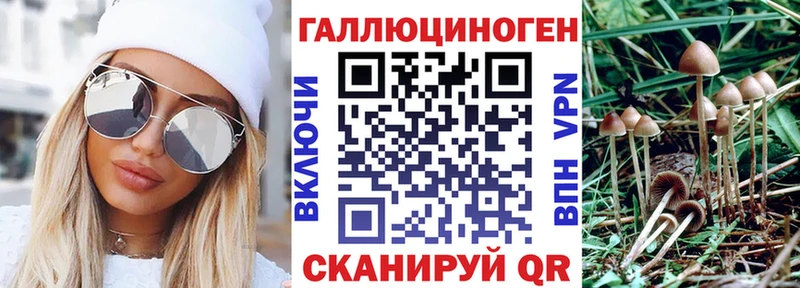 Псилоцибиновые грибы прущие грибы  Купить где  Рославль 